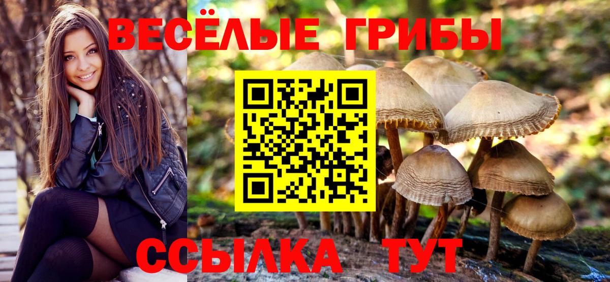 Галлюциногенные грибы Psilocybe Нурлат